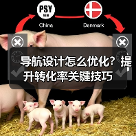 导航设计怎么优化?提升转化率关键技巧(图1) 导航设计怎么优化?提升转化率关键技巧(图1)