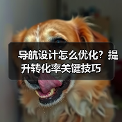 导航设计怎么优化?提升转化率关键技巧(图2) 导航设计怎么优化?提升转化率关键技巧(图2)