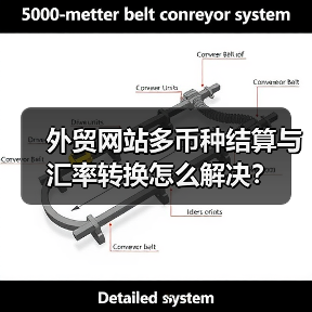 外贸网站多币种结算与汇率转换怎么解决？（图3）
