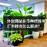 外贸网站多币种结算与汇率转换怎么解决？（图4）