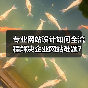 专业网站设计如何全流程解决企业网站难题？（图3）