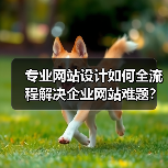 专业网站设计如何全流程解决企业网站难题？（图1）