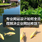 专业网站设计如何全流程解决企业网站难题？（图2）