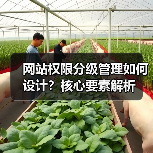 网站权限分级管理如何设计？核心要素解析（图1）