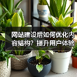 网站建设后如何优化内容结构?提升用户体验与SEO排名(图3) 网站建设后如何优化内容结构?提升用户体验与SEO排名(图3)