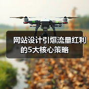 网站设计引爆流量红利的5大核心策略(图3) 网站设计引爆流量红利的5大核心策略(图3)
