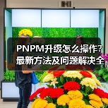 PNPM升级怎么操作?最新方法及问题解决全攻略(图1) PNPM升级怎么操作?最新方法及问题解决全攻略(图1)