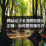 网站设计全流程智能化定制:如何高效提升开发效率与运营优化?(图2) 网站设计全流程智能化定制:如何高效提升开发效率与运营优化?(图2)