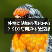 外贸网站如何优化内链？SEO与用户体验双提升（图2）