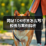 网站TDK标签怎么写？模板与案例解析（图4）