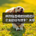 供应链透明度如何提升企业信任与效率？关键策略解析（图3）