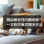网站兼容性问题频发?一文教你高效解决方法(图2) 网站兼容性问题频发?一文教你高效解决方法(图2)