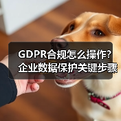 GDPR合规怎么操作?企业数据保护关键步骤解析(图4) GDPR合规怎么操作?企业数据保护关键步骤解析(图4)