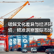 破解文化差异与经济环境,精准洞察国际市场客户需求(图3) 破解文化差异与经济环境,精准洞察国际市场客户需求(图3)