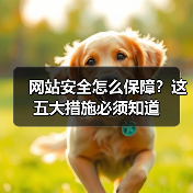 网站安全怎么保障?这五大措施必须知道(图2) 网站安全怎么保障?这五大措施必须知道(图2)