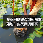 专业网站建设如何高效落地?实战案例解析(图4) 专业网站建设如何高效落地?实战案例解析(图4)