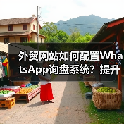 外贸网站如何配置WhatsApp询盘系统?提升沟通效率的关键步骤(图2) 外贸网站如何配置WhatsApp询盘系统?提升沟通效率的关键步骤(图2)