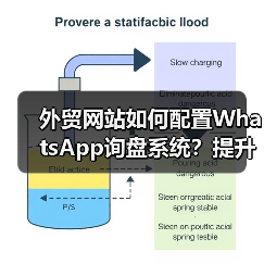 外贸网站如何配置WhatsApp询盘系统?提升沟通效率的关键步骤(图4) 外贸网站如何配置WhatsApp询盘系统?提升沟通效率的关键步骤(图4)