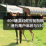 404错误如何智能跳转？提升用户体验与SEO的关键方案（图1）