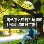 网站怎么赚钱？这些盈利模式你选对了吗？（图1）