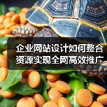 企业网站设计如何整合资源实现全网高效推广？（图2）