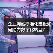 企业网站标准化建设如何助力数字化转型？（图2）