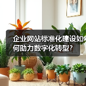 企业网站标准化建设如何助力数字化转型？（图3）