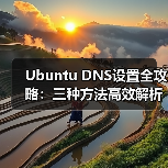 Ubuntu DNS设置全攻略：三种方法高效解析（图3）