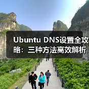 Ubuntu DNS设置全攻略：三种方法高效解析（图4）