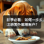 新手必看：如何一步步注册国外邮箱账户？（图4）