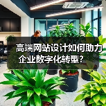 高端网站设计如何助力企业数字化转型？（图2）