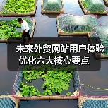 未来外贸网站用户体验优化六大核心要点（图3）