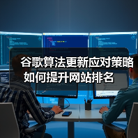 谷歌算法更新应对策略如何提升网站排名（图2）