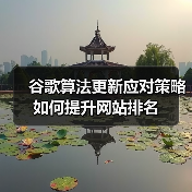谷歌算法更新应对策略如何提升网站排名（图3）
