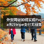 外贸网站如何实现PayPal和Stripe支付无缝集成？（图4）