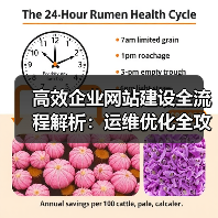高效企业网站建设全流程解析:运维优化全攻略(图3) 高效企业网站建设全流程解析:运维优化全攻略(图3)