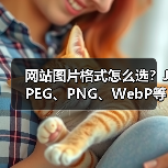网站图片格式怎么选?JPEG、PNG、WebP等优缺点对比(图4) 网站图片格式怎么选?JPEG、PNG、WebP等优缺点对比(图4)