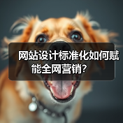 网站设计标准化如何赋能全网营销?(图1) 网站设计标准化如何赋能全网营销?(图1)