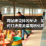 网站建设排名秘诀:如何打造高流量高转化网站(图2) 网站建设排名秘诀:如何打造高流量高转化网站(图2)