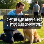 外贸建站流量增长技巧:内容营销如何高效吸引目标客户?(图2) 外贸建站流量增长技巧:内容营销如何高效吸引目标客户?(图2)