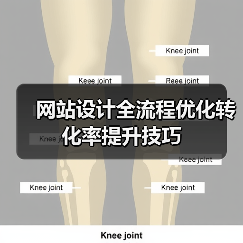 网站设计全流程优化转化率提升技巧(图3) 网站设计全流程优化转化率提升技巧(图3)
