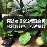 网站建设全流程整合优化策略解析:打造高转化平台的关键步骤(图4) 网站建设全流程整合优化策略解析:打造高转化平台的关键步骤(图4)