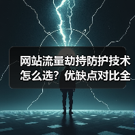 网站流量劫持防护技术怎么选？优缺点对比全解析（图2）
