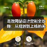 高效网站设计定制全攻略:从规划到上线的关键步骤(图1) 高效网站设计定制全攻略:从规划到上线的关键步骤(图1)