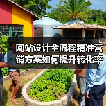 网站设计全流程精准营销方案如何提升转化率（图1）