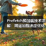 Prefetch预加载技术详解:网站加载速度优化全攻略(图2) Prefetch预加载技术详解:网站加载速度优化全攻略(图2)