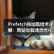 Prefetch预加载技术详解:网站加载速度优化全攻略(图3) Prefetch预加载技术详解:网站加载速度优化全攻略(图3)