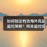 如何制定有效海外竞品监控策略?精准监控提升市场竞争力(图2) 如何制定有效海外竞品监控策略?精准监控提升市场竞争力(图2)