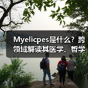 Myelicpes是什么?跨领域解读其医学、哲学与科技应用(图4) Myelicpes是什么?跨领域解读其医学、哲学与科技应用(图4)