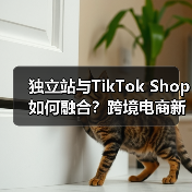独立站与TikTok Shop如何融合?跨境电商新机遇揭秘(图2) 独立站与TikTok Shop如何融合?跨境电商新机遇揭秘(图2)